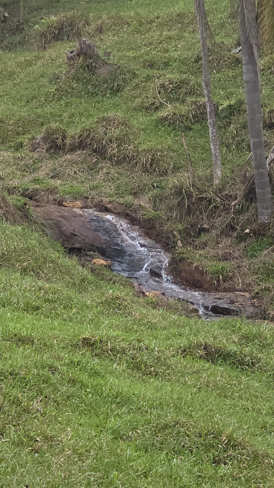 Água corrente da cachoeira no condomínio Residencial Eucaliptos